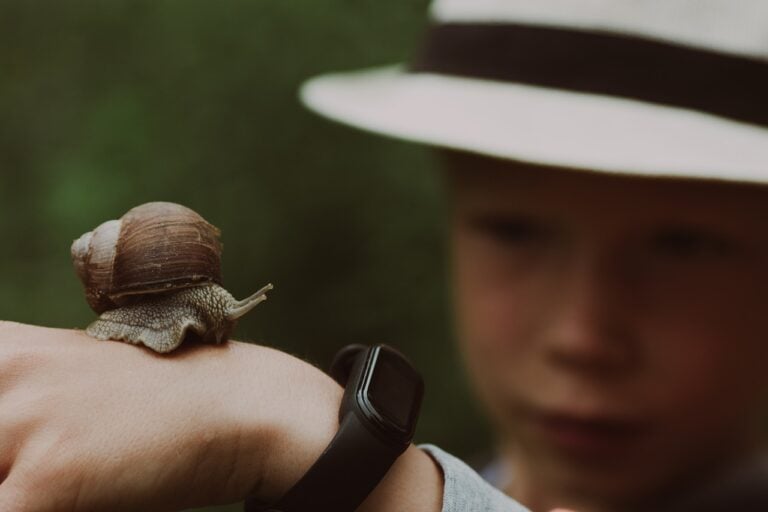 Debunking Myths: Do Snails Really Bite?